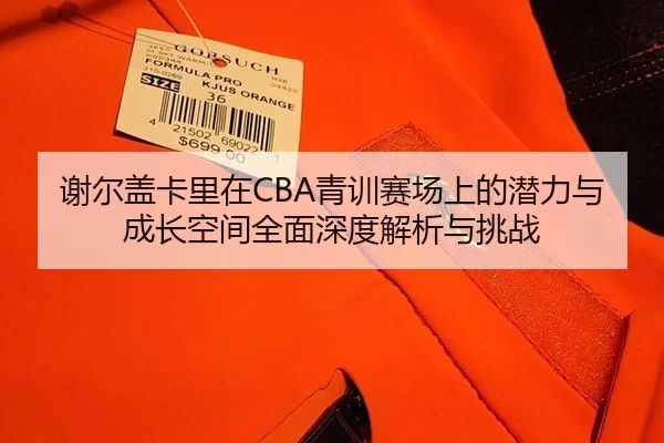 谢尔盖卡里在CBA青训赛场上的潜力与成长空间全面深度解析与挑战